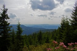 Blick über den Schwarzwald